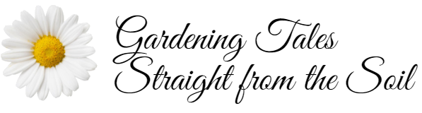 My Blog