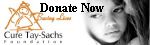 Donate Now button to Cure Tay-Sachs Foundation website www.curetay-sachs.org       