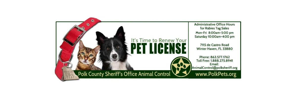 how much is a dog license in florida