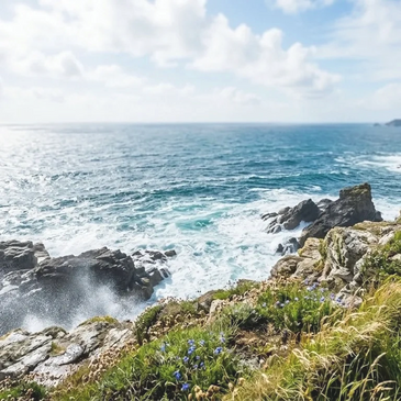 Rocky coastline with waves crashing and wildflowers in the foreground.