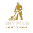 Dry Plus Carpet Cleaning