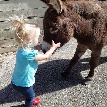 MOMMY & ME PONY CLASS
