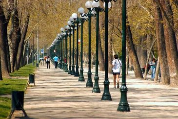Parque forestal 