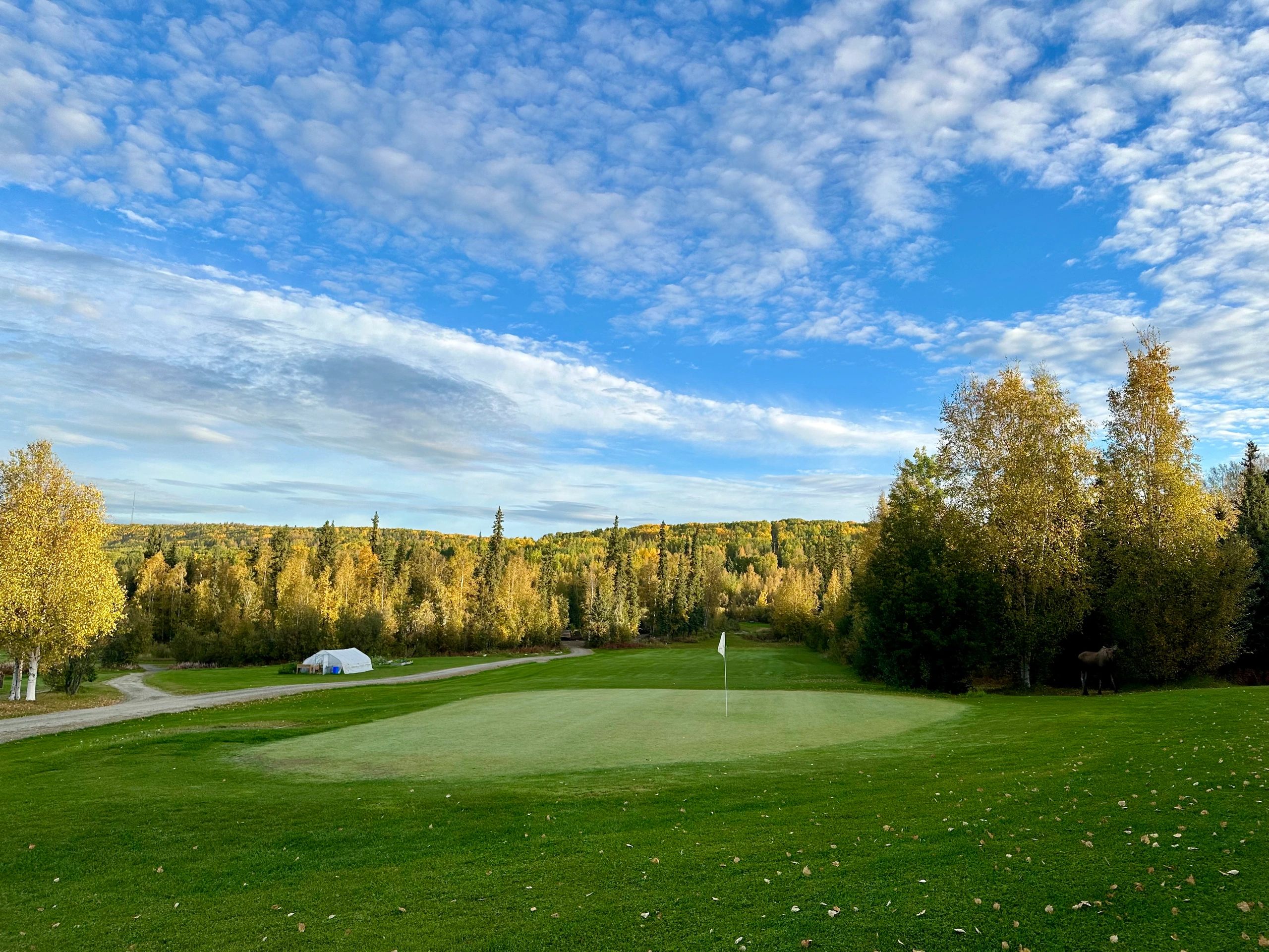 Midnight Sun Golf Course in Fairbanks Alaska