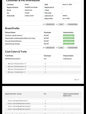Cat genetic test report showing breed, health, and coat color traits.