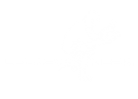 Legacy Media, LLC