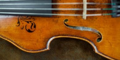 Iizuka viola, performance, weddings, string quartet, private lessons