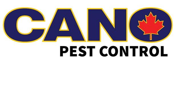 Pest Control Winnipeg