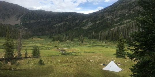 Mt. Zirkle Wilderness, Colorado