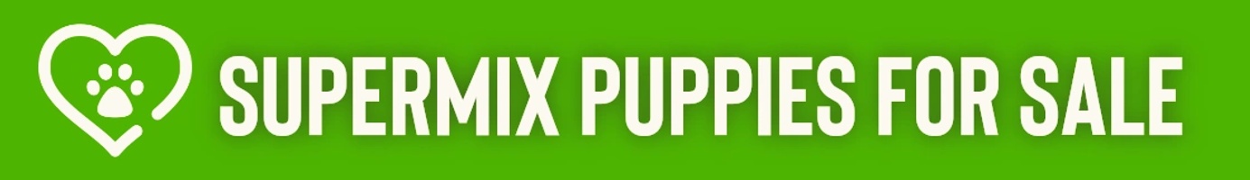 Supermix
Puppies For Sale