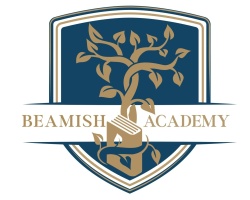 TURING ACADEMY