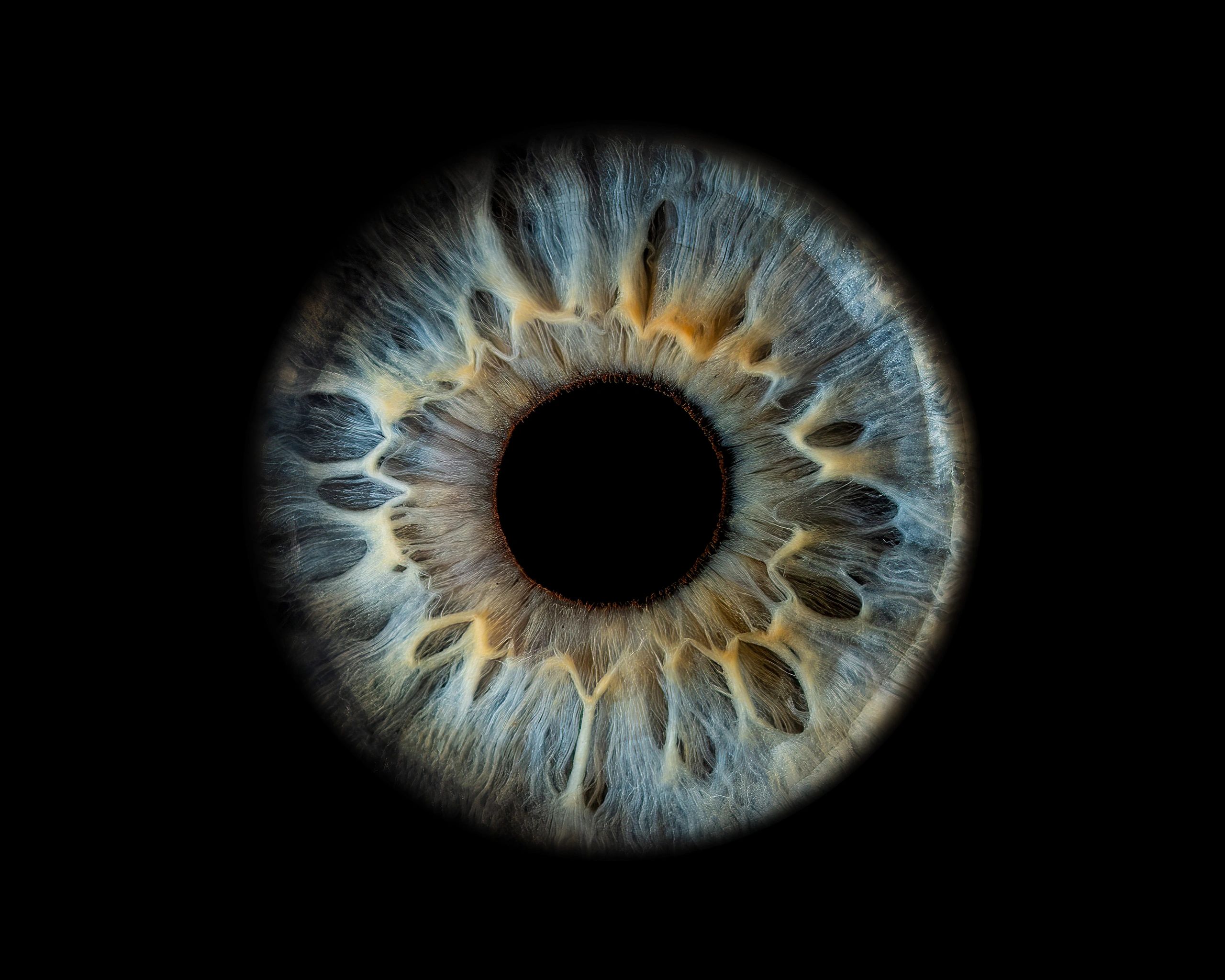 Iris様参考画像 Gallery of Iris Photography NZ - Auckland Event Photography
