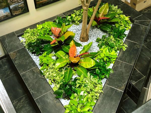 Planter Bed with colorful plants and rocks.