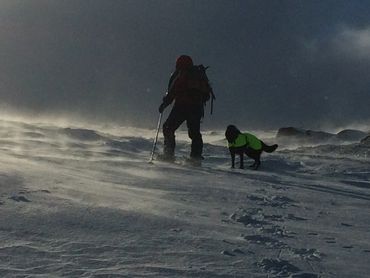 Winter mountaineering in glorious weather