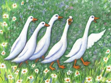 ducks, flowers, flower garden, farm animals, barnyard animals, birds, white birds, laugh, laughing