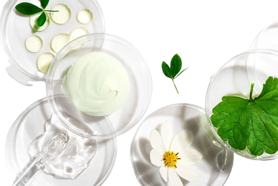 Natural skincare ingredients in clear petri dishes with leaves and flower.