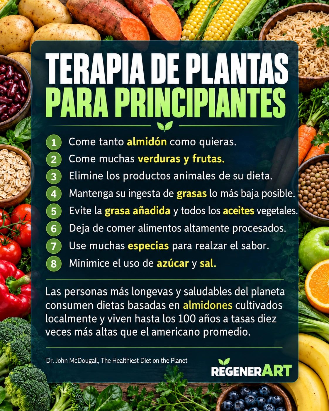 TERAPIA DE PLANTAS PARA PRINCIPIANTES