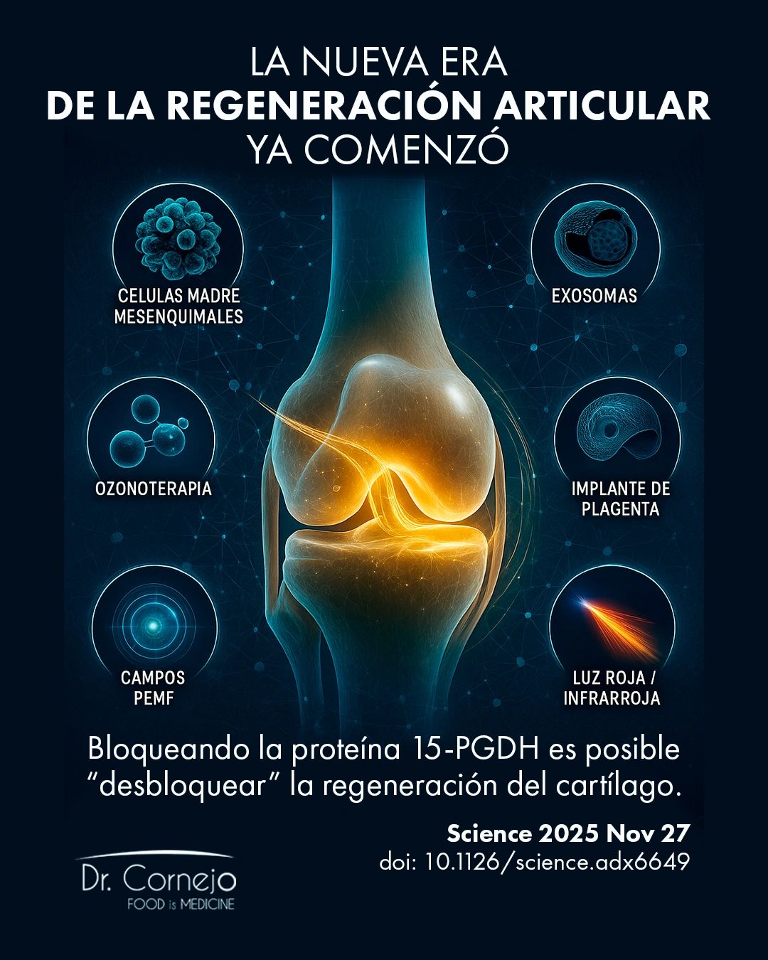 Breakthrough en investigación del cartílago articular
