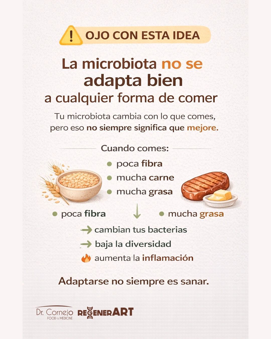 ¿Tu microbiota se adapta a tu dieta… o tú estás pagando el precio