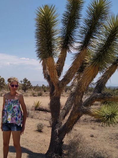 Betsy at the Joshua Tree Preserve, a 3-acre unspoiled area of the Arizona high desert.