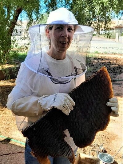 Betsy from Vegas Bees holding a massive honeycomb safely removed from a hive in Henderson, Nevada.