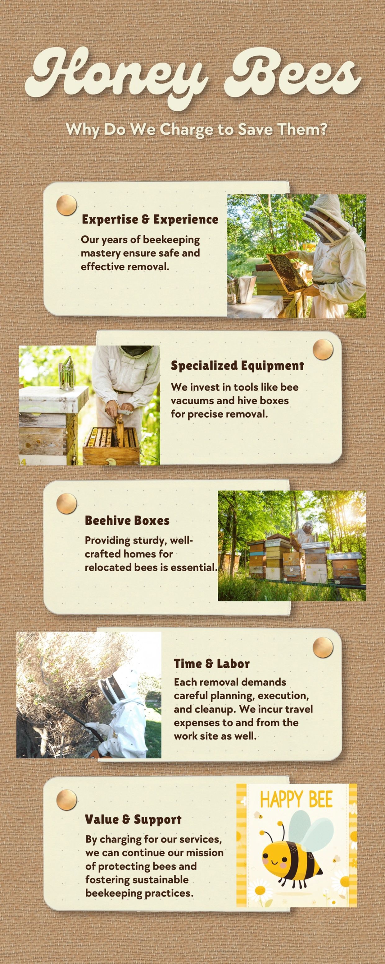 An infographic explaining costs the beekeeper has to pay to remove bees and beehives.