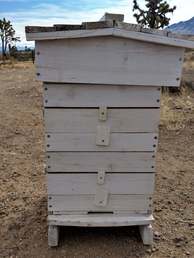 A Warre Hive. We like them and add a neat feel to our backyard. They are like a top bar hive.