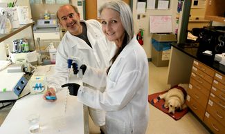 A smiling female and male scientist working in a lab with a service dog lying on a mat behind them