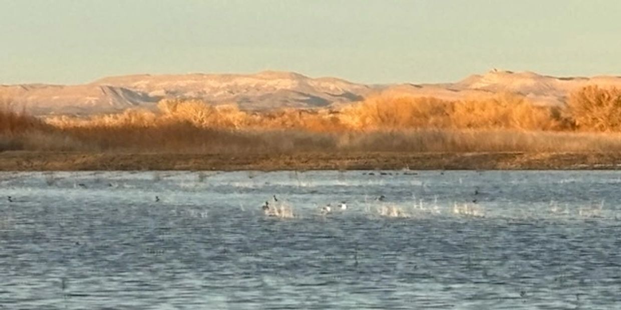 A serene lake with birds taking off against a backdrop of golden trees and distant hills.