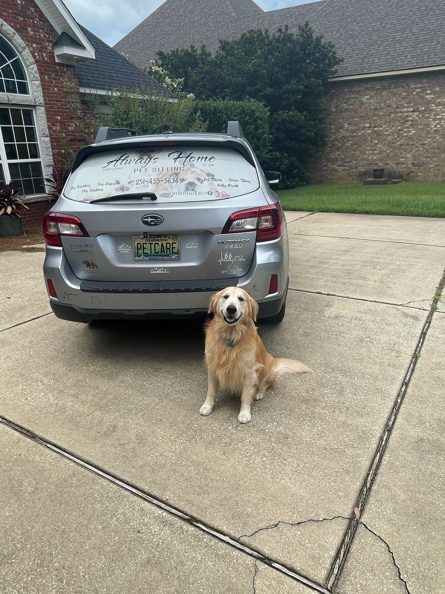 Dog waiting beside an Always Home pet sitter’s vehicle during a pet care visit in Mobile, Alabama.