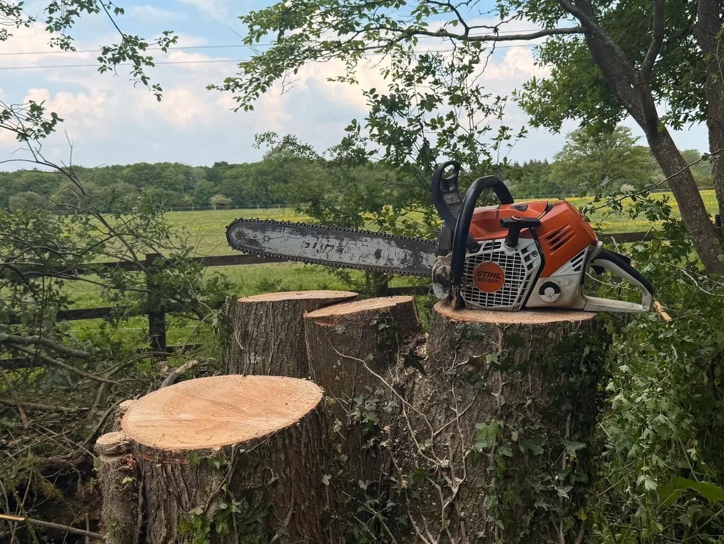 tree-surgery-berkshire
tree-surgery-hampshire
tree-surgery-surrey