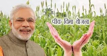 Portrait of Narendra Modi with wheat fields and 'पीक बीमा योजना' text.
