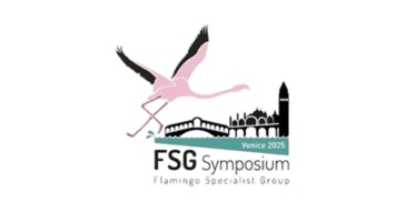 4th International Flamingo Symposium