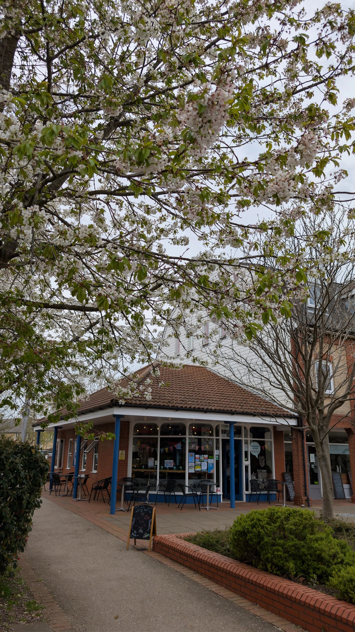 21 Young Hearts Community Cafe