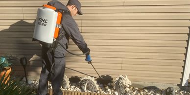 Pest Control Experts - Wilmington, NC