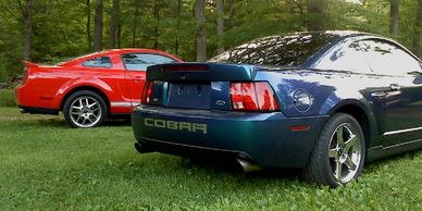 cobra gt500 ford tuning