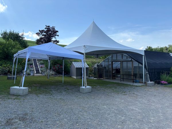 Tent wedding