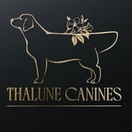 Thalune Canines