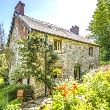cosy cottage in a forest holiday area in mid wales