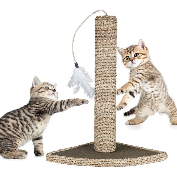 SISAL ROPE [ONLY!] SCRATCHING POST - Should be 6" Taller Than Cat Can Stretch!