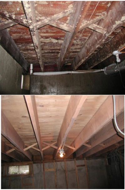 Water Damage and Mold Remediation Stamford