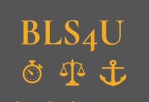 BergsonLegalServices4U