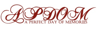 A Perfect Day of Memories, LLC
