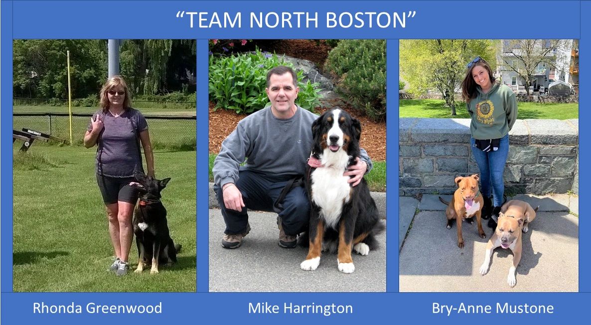 NORTH BOSTON DOG TRAINING REVIEWS visual data 6