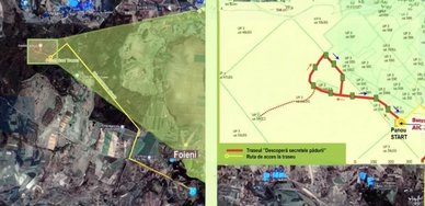 The interactive educational route in Foieni Forest is 1 km long and a degree of low difficulty