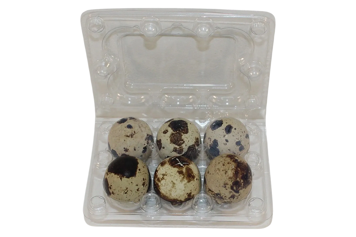 6Eggs Jumbo Quail Egg Cartons (2x3)