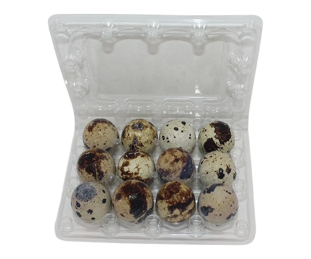12Eggs Jumbo Quail Egg Cartons (3x4)