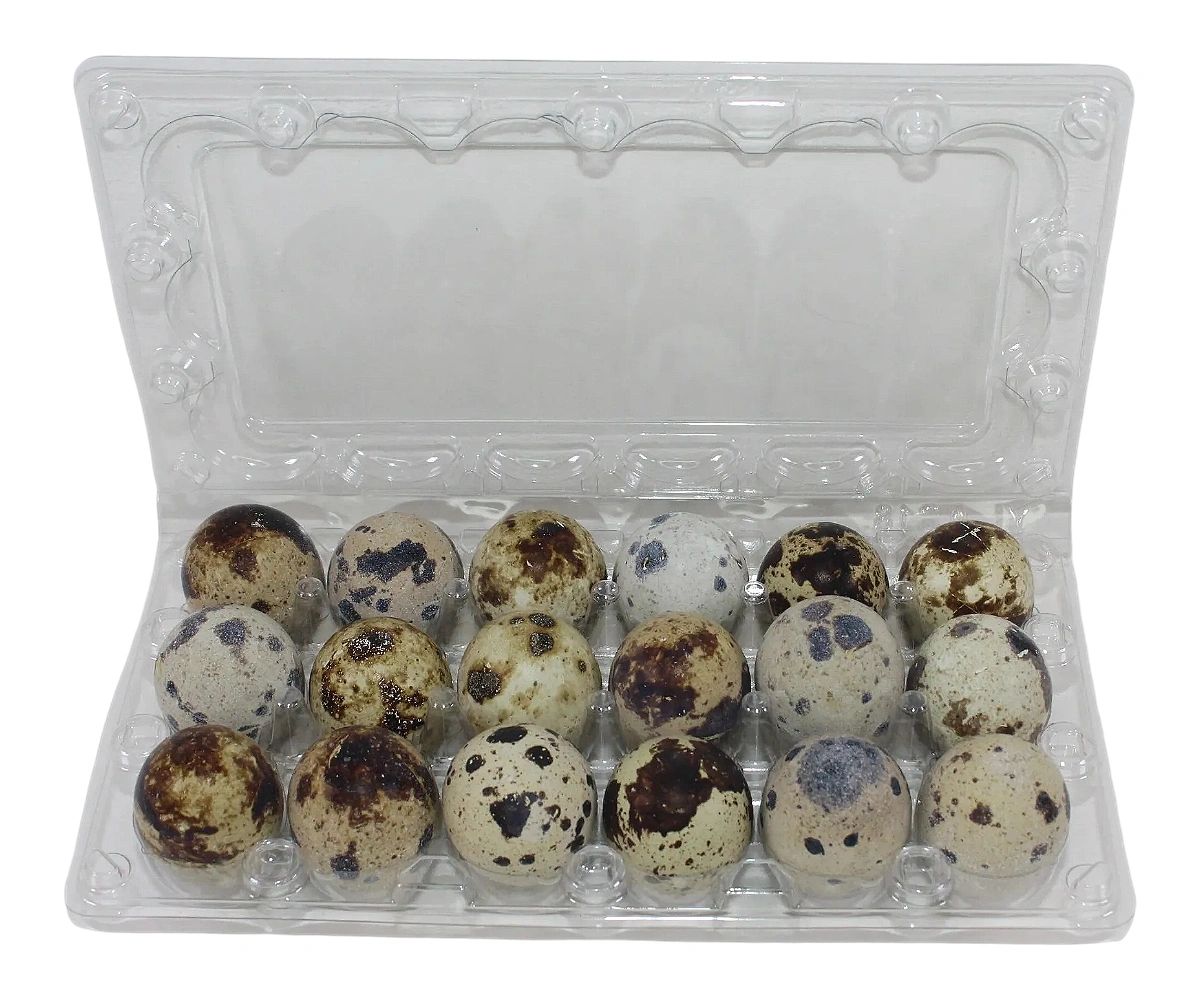 18Eggs Jumbo Quail Egg Cartons (3x6)