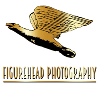 Figurehead Photography