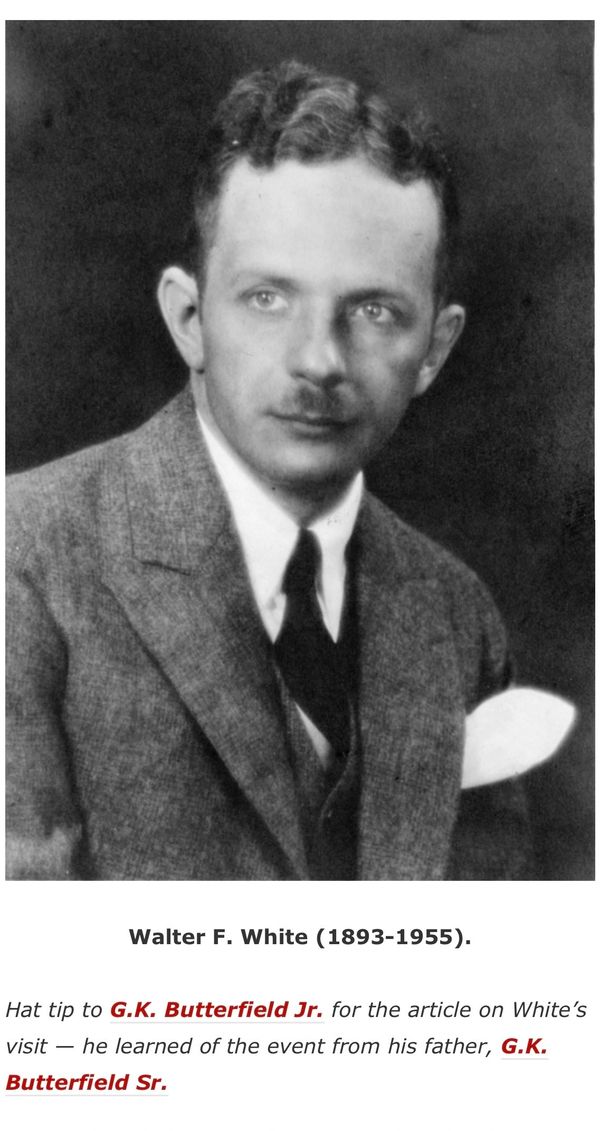 Portrait of Walter F. White, an early 20th-century man in a suit.